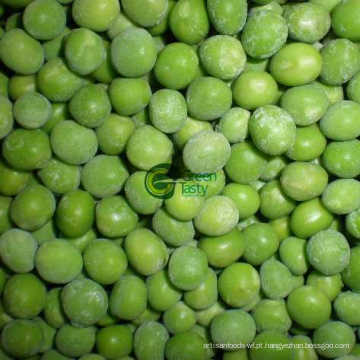 IQF Frozen New Crop Zhongwan 5 ervilhas verdes